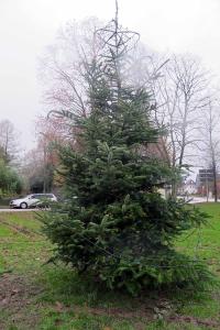 K1024 IMG 9153