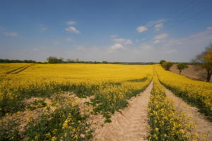 Radtour09.05.2020-16