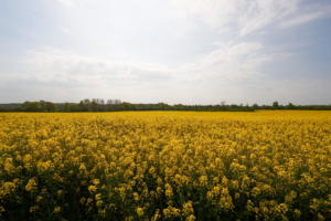 Radtour09.05.2020-3